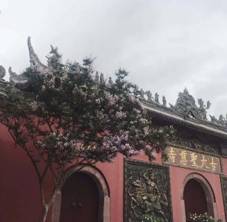 摩天2娱乐：助力公益活动建设，实现经济效益与社会效益的双赢！